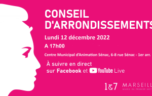 Conseil d'arrondissements du 12 décembre 2022