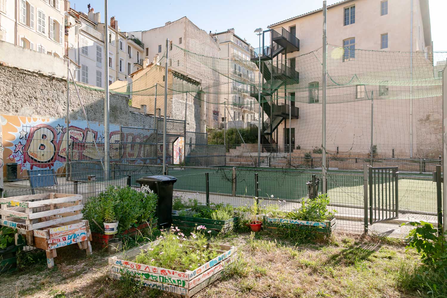 Maison des sports Pape Diouf