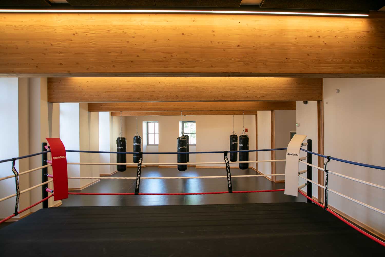 Maison des sports Pape Diouf