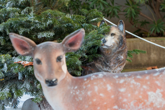 Décorations Les Lices