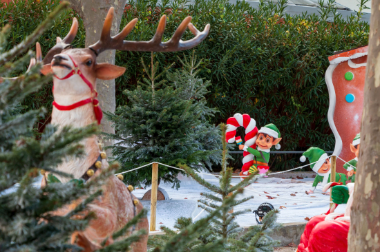 Décorations Les Lices