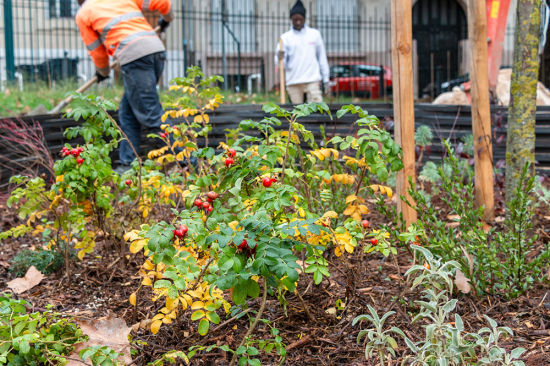 Réouverture du jardin Labadié rénové