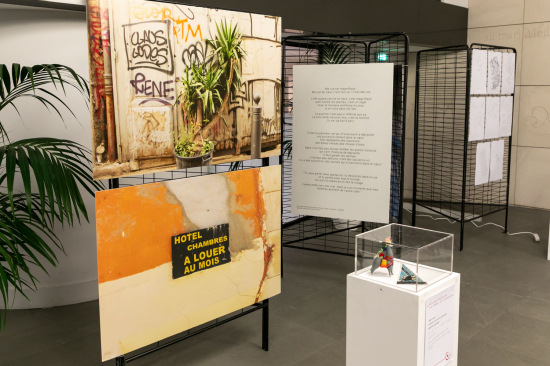 Exposition Rue du Musée, Musée de la Rue